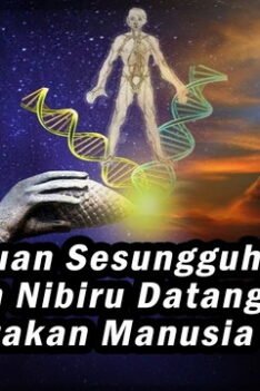 Tujuan Alian Dari Planet Nibiru Mengunjungi Bumi. Ternyata Ini Tujuan Sesungguhnya dari Alien Nibiru yang Datang ke Bumi Menciptakan Manusia