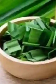 Manfaat Daun Pandan Bagi Kesehatan