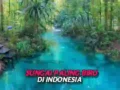 Sungai Paling Jernih di Indonesia Tersembunyi di Hutan Papua