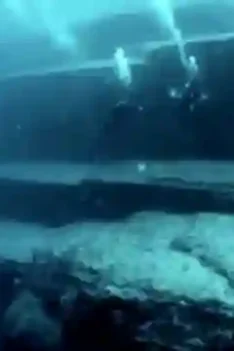 Sipjos.com - Penemuan Tembok Raksasa di Bawah Laut Papua. Misteri Tembok Raksasa di Bawah Laut Papua. Tembok Dasar Laut