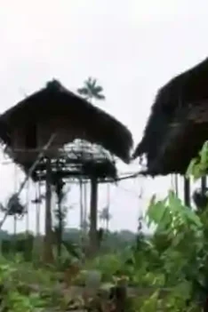 Sipjos.com - Rumah di Atas Pohon Suku Korowai Papua. Rumah Pohon Suku Korowai di Hutan Papua Yang Menakjubkan