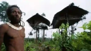 Sipjos.com - Rumah di Atas Pohon Suku Korowai Papua. Rumah Pohon Suku Korowai di Hutan Papua Yang Menakjubkan