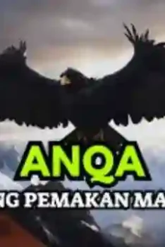 Sipjos.com - Kisah Nabi Memusnahkan Burung Raksasa. Kisah Nabi Yang Diutus Untuk Memusnahkan Burung Raksasa Pemakan Manusia