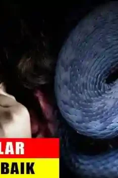 sipjos.com - Mimpi Bertemu Ular. Arti Mimpi Tentang Ular. Tafsir Mimpi Ular. Arti Mimpi Bertemu dengan Ular