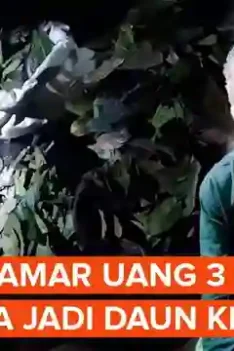 sipjos.com - Janda Dilamar Mahar Uang Rp3 Miliar Malamnya Jadi Daun Kering. Janda Dilamar Sekoper Uang Jadi Daun Kering