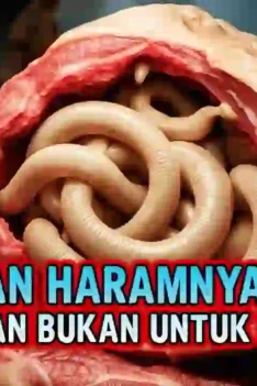 sipjos com - Alasan Allah Melarang Memakan Daging Babi. Mengapa Allah Melarang Kita Untuk Memakan Daging Babi. Allah Melarang Makan Babi