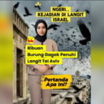 Ngeri! Ribuan Burung Gagak, Selimuti Langit Tel Aviv Israel