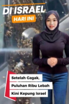 Puluhan Ribu Lebah Serbu Netivot,Israel Selatan. Setelah Gagak, Puluhan Ribu Lebah Kini Kepung Israel Selatan
