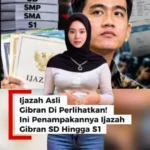Ijazah Gibran - Ini Penampakannya Ijazah Gibran SD Hingga S1 - Ijazah Asli Gibran Di Perlihatkan
