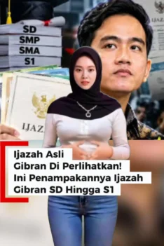 Ijazah Gibran - Ini Penampakannya Ijazah Gibran SD Hingga S1 - Ijazah Asli Gibran Di Perlihatkan
