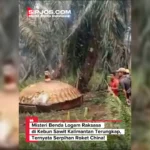 Benda Logam Raksasa di Kebun Sawit Kalimantan Ternyata Serpihan Roket China - Misteri Benda Logam Raksasa di Kebun Sawit